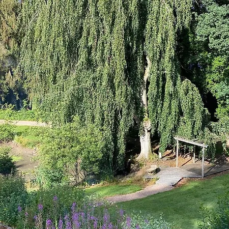 Parkhotel Des Effats 3*