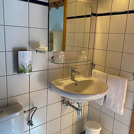 Parkhotel Des Effats 3* فيلسالم