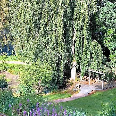 Parkhotel Des Effats 3* فيلسالم