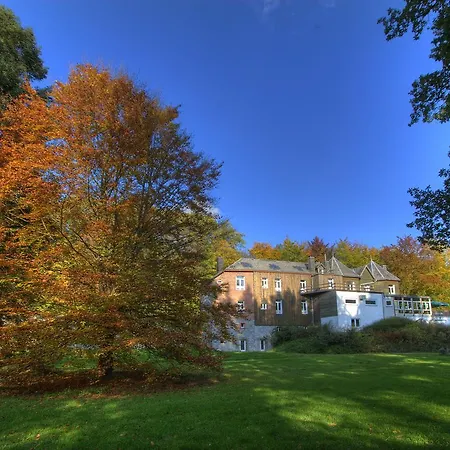 Parkhotel Des Effats Hotel Vielsalm